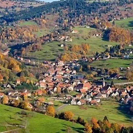 Brit Grand Ξενοδοχείο Munster (Haut-Rhin)